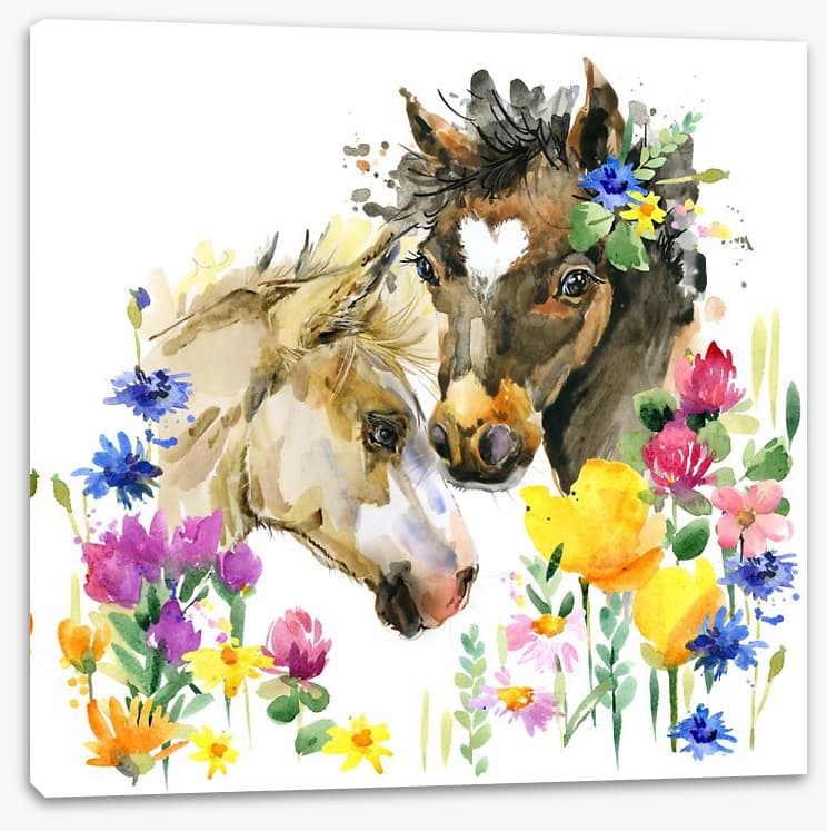 Wildflower foals