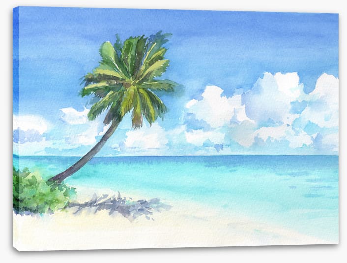 Palm in paradise