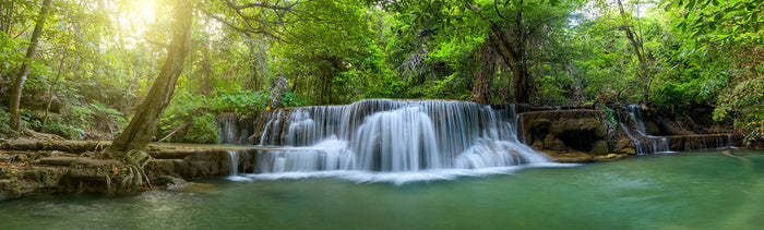 Jungle falls panorama