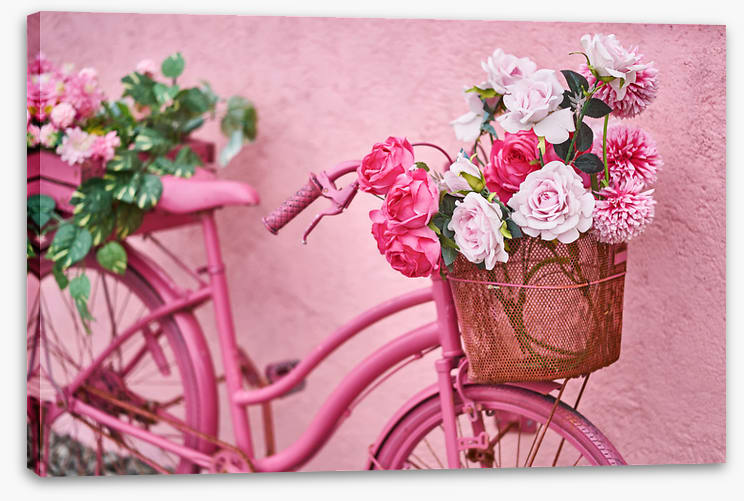 Wheely pretty