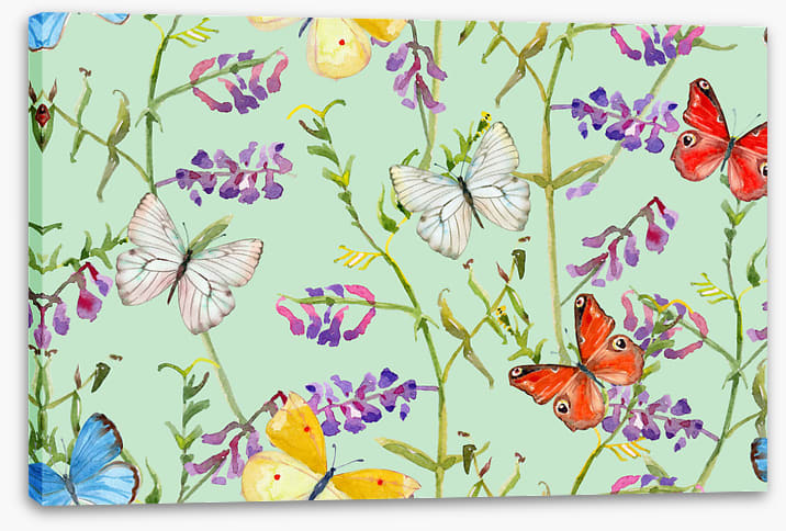 Butterflies