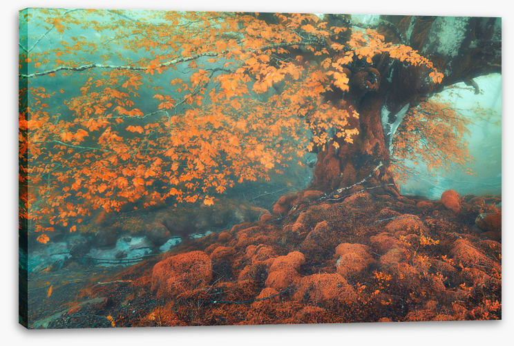 Fantasy in fall