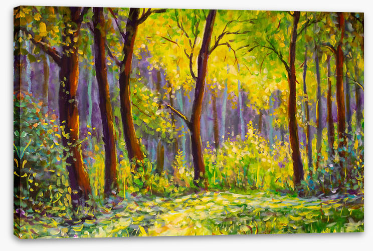 Sunshine in the glade