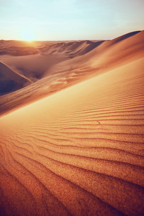 Desert