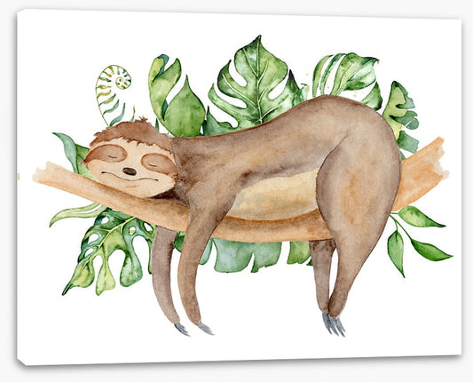 Sleeping sloth
