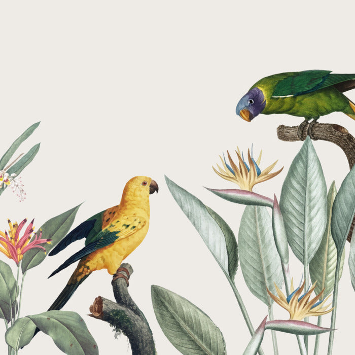 Feathered friends II