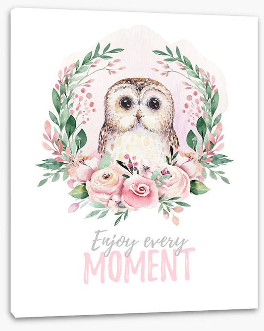 Owl moments