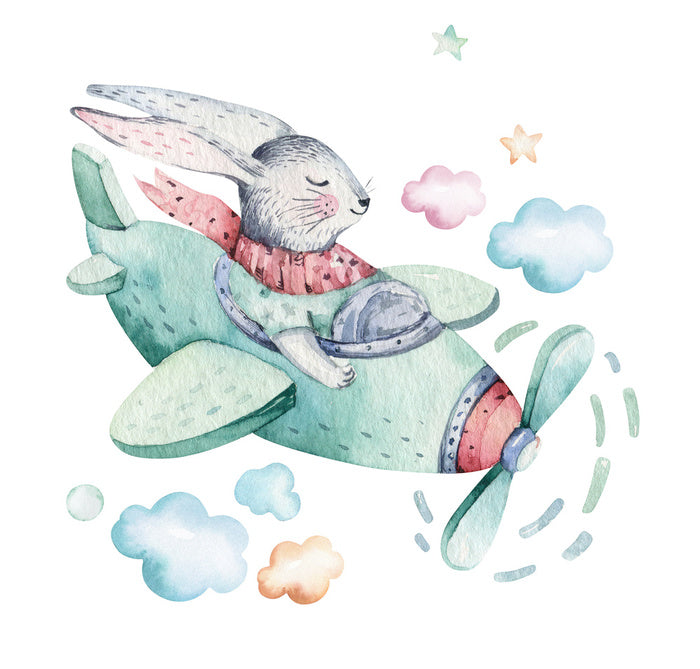 Bunny in a biplane