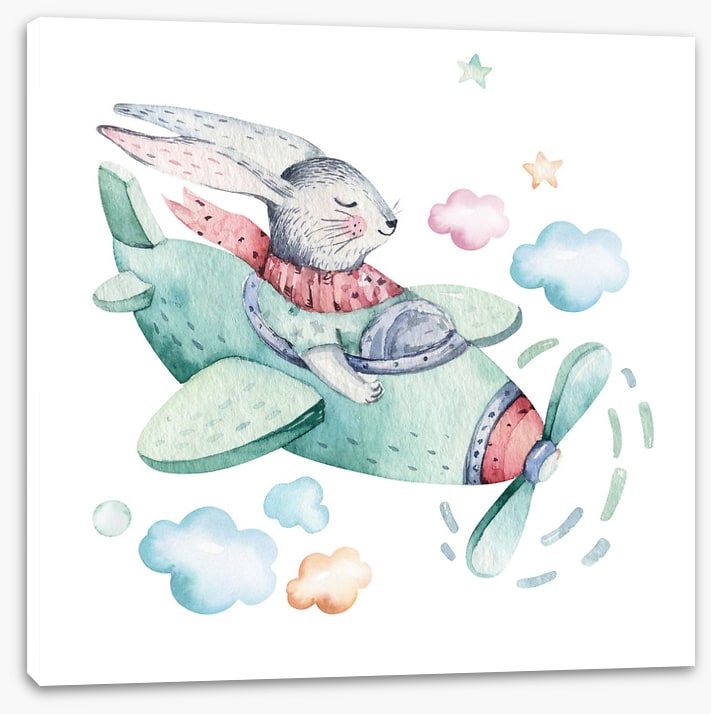 Bunny in a biplane