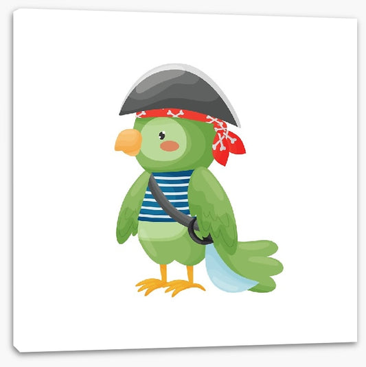 Pirate parrot
