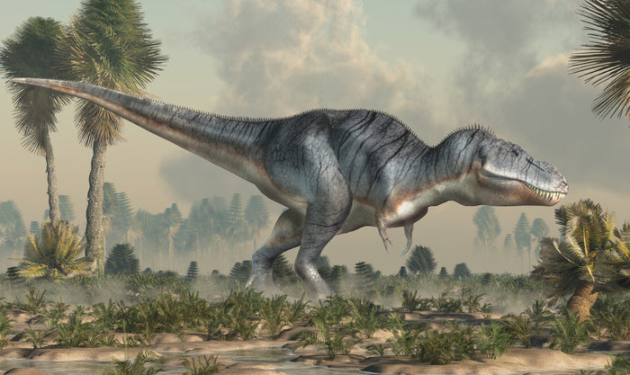 Tyrannosaurus tramp