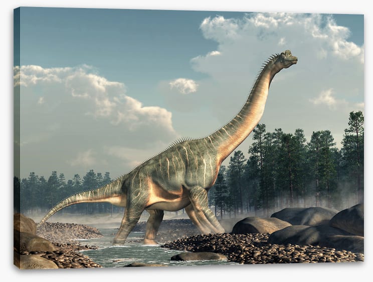 Brachiosaurus roam