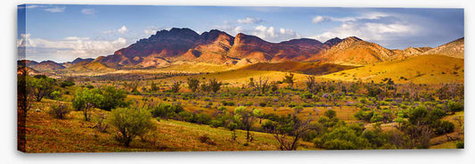 Flinders beauty panorama