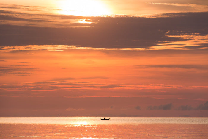 Sunsets / Rises
