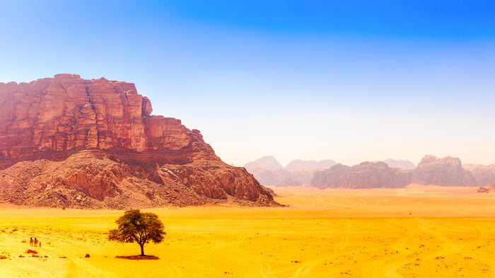 Desert