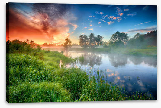 Riverbank reflections