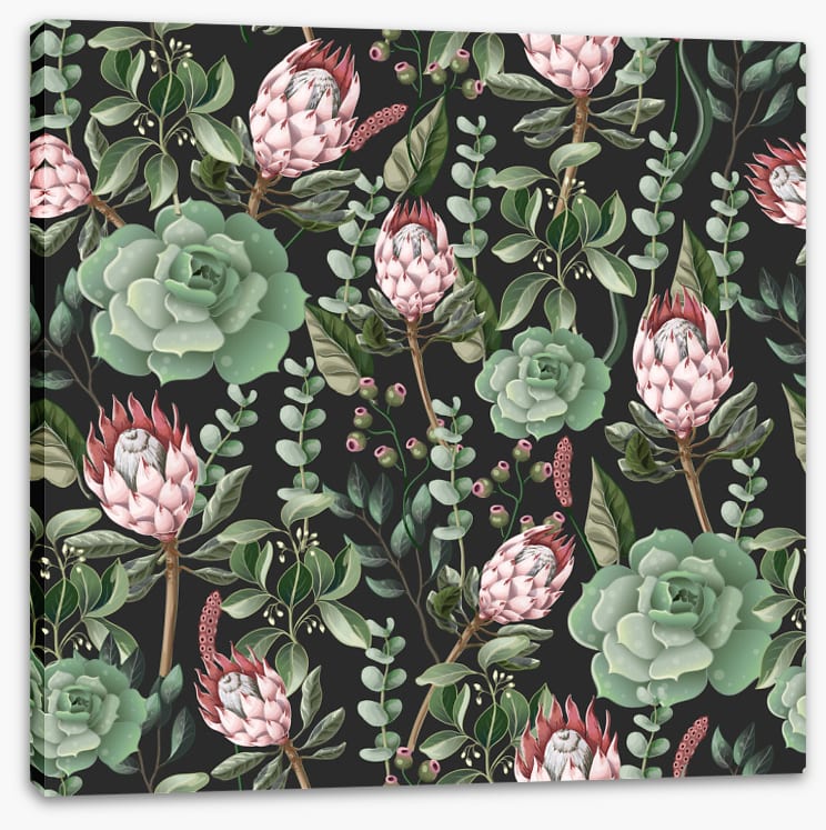 Pink protea leaves