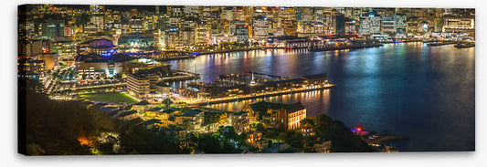 Wellington lights panorama