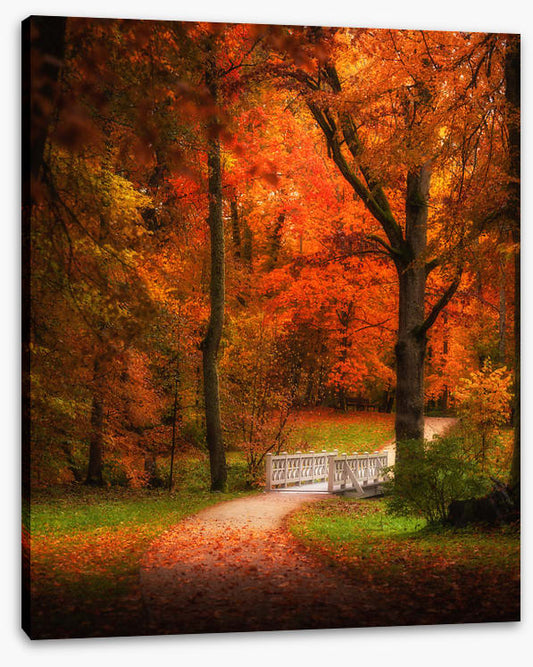 Over the white bridge