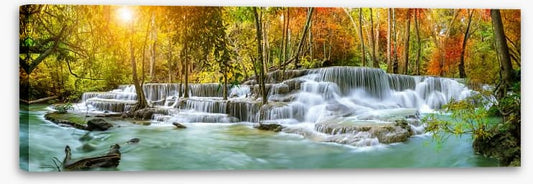 Sunlight falls panorama