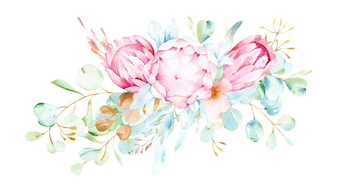 Pretty protea