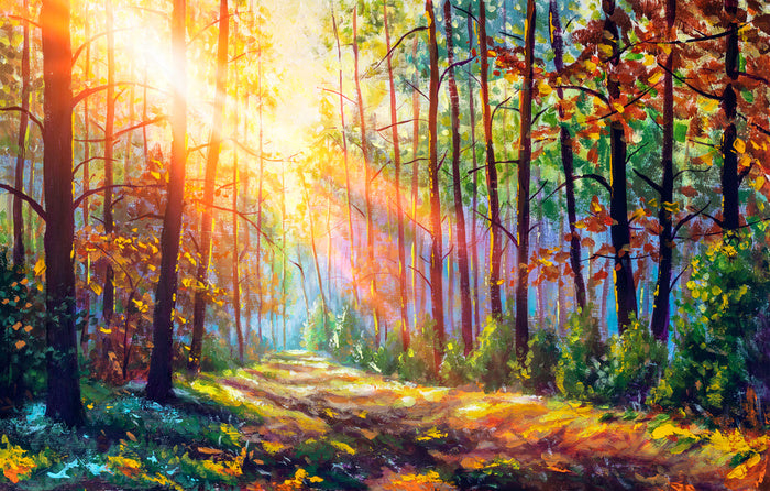 The sunbeam path