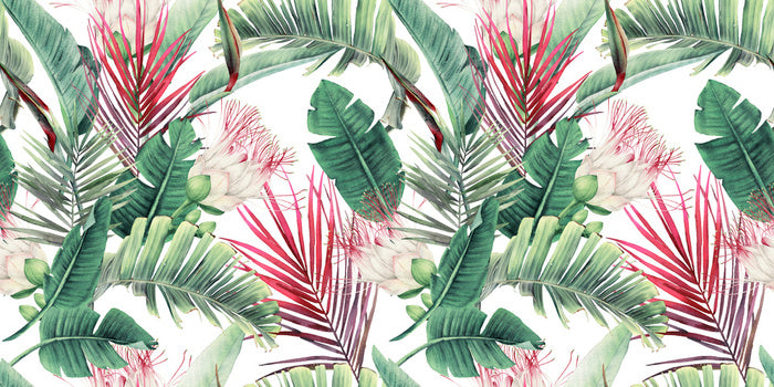 Fuchsia foliage