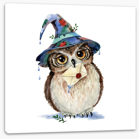 Wizard owl mail