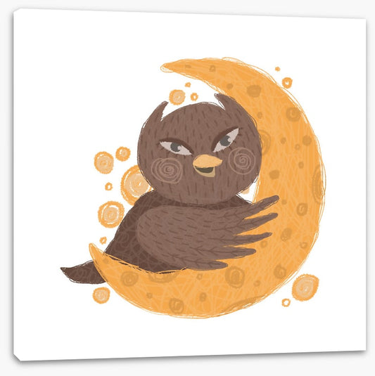 Orange moon owl