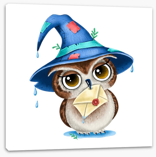 Wizard owl post