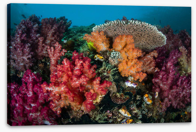 Underwater