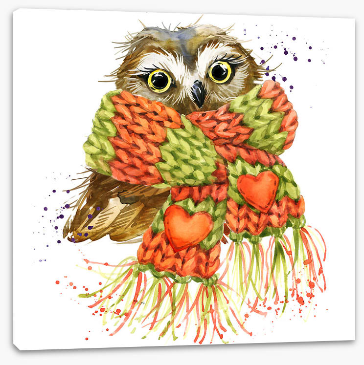 Cosy winter owl