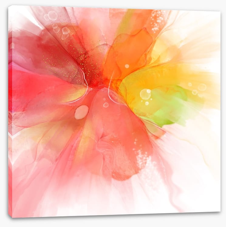 Exploding into summer