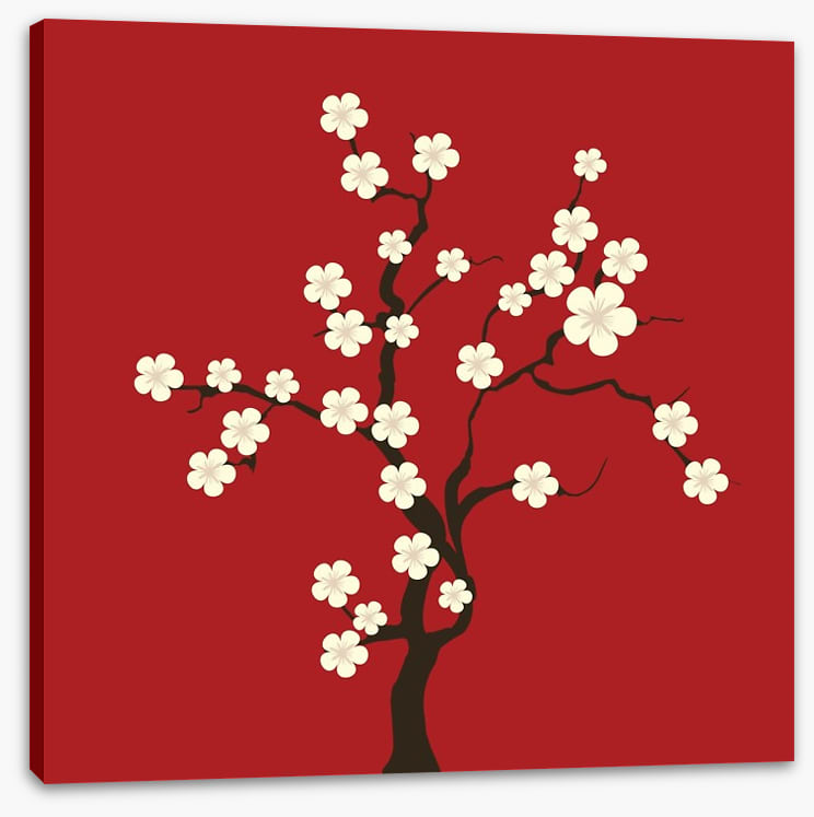 Cherry blossom