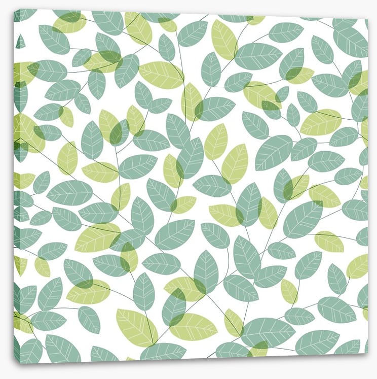 Soft leaves