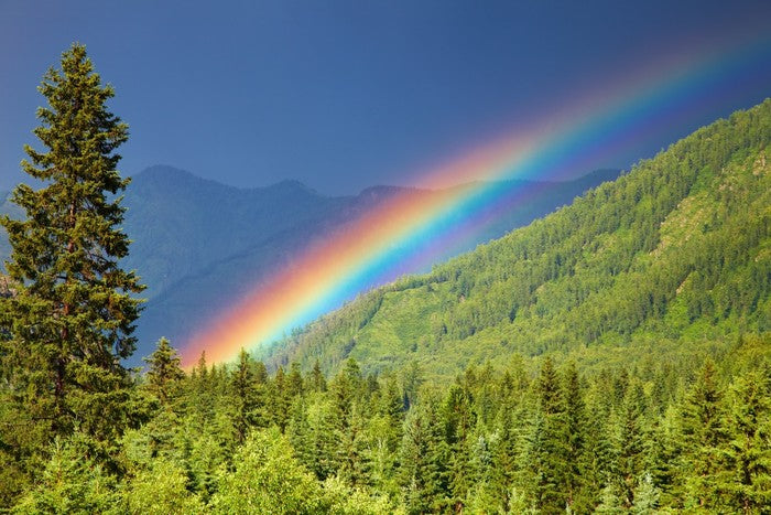 Rainbows