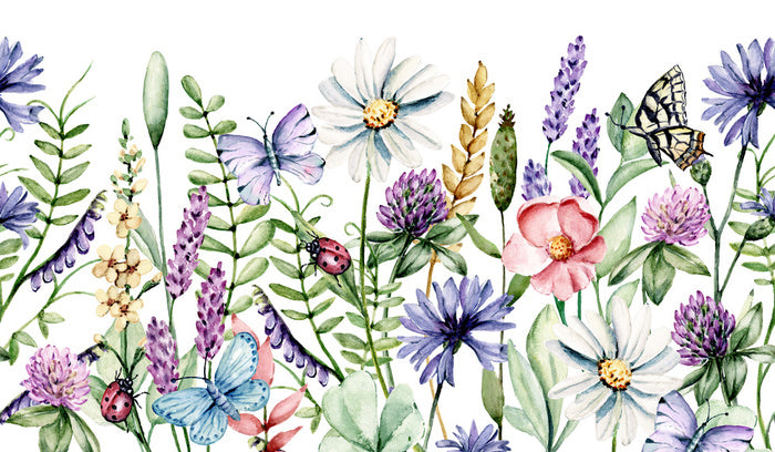 Chamomile and clover
