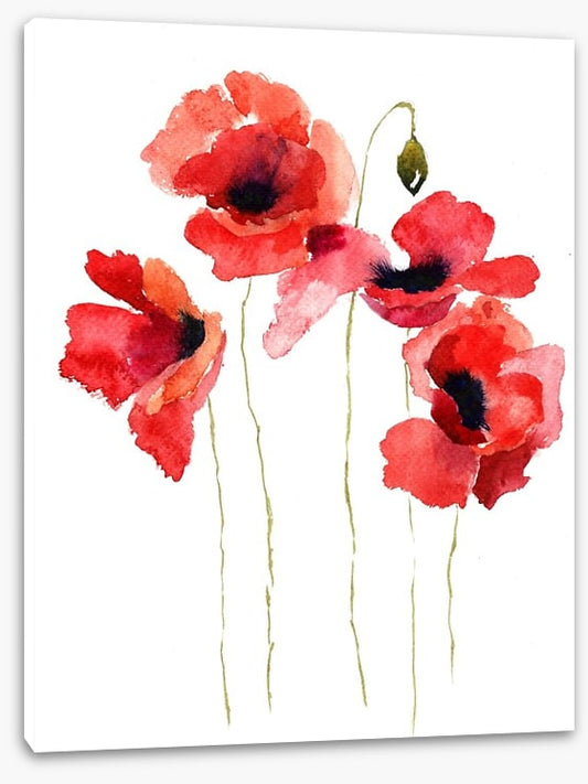 Poppies stripped bare