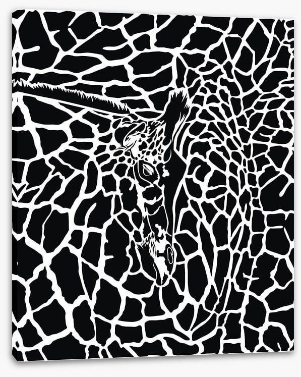 Animal Print