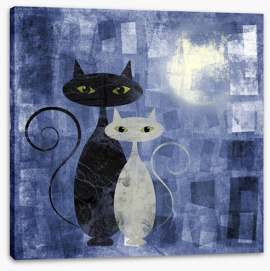 The moonlight cats