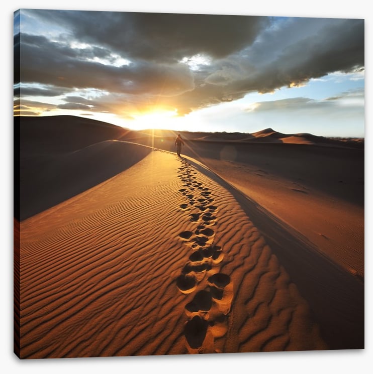 Off the beaten track