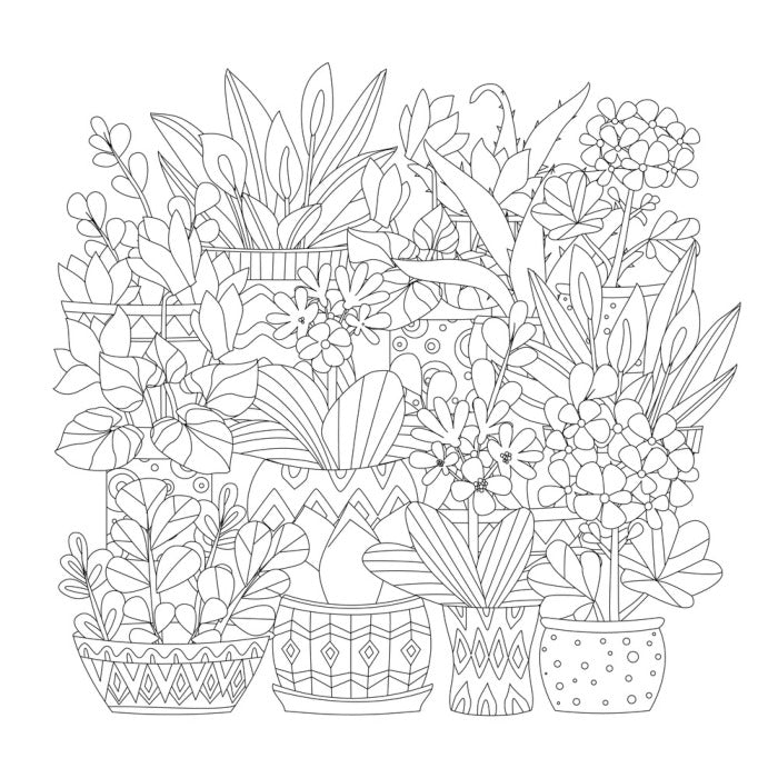 Colour me plant pots