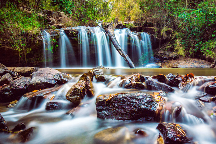 Timber falls