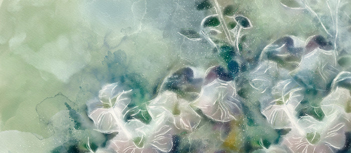 Frozen flowers
