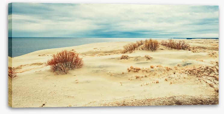 From sand to sea