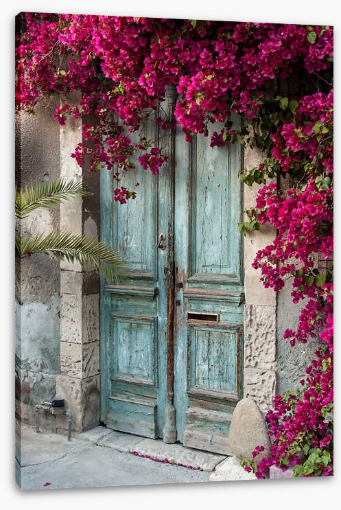 Old wooden door with bougainvillea