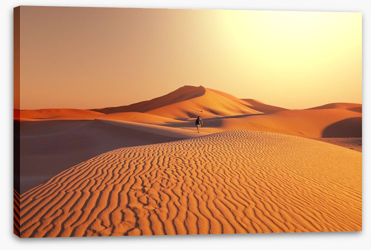 Desert
