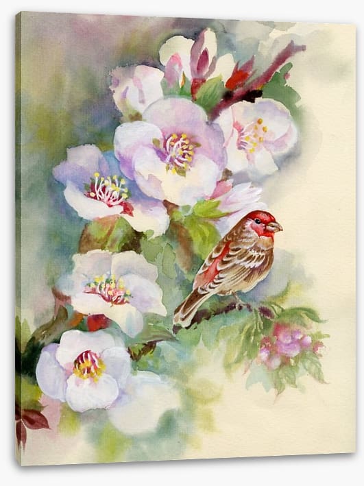 Apple blossom bird