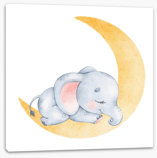 Elephant moon