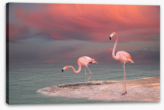 Pink flamingo sunset